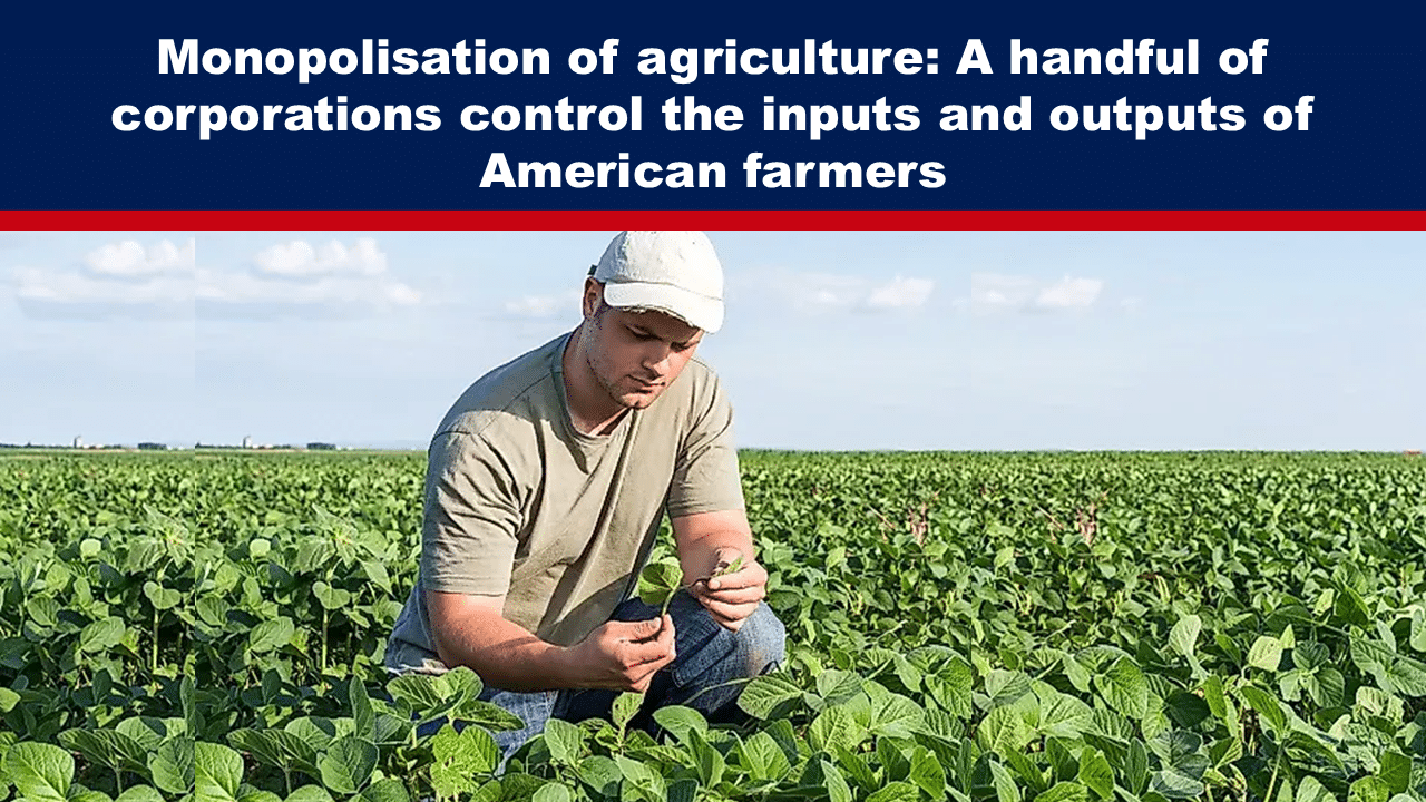 Monopolisation of agriculture - The Expose Expose News: American farmer inspects crops as big corporations control agriculture inputs and outputs, spotlighting industry monopolisation concerns.