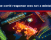 Expose News: COVID response spotlight: Vibrant map of UK with data charts highlights pandemic steps. The covid response was not a mistake!